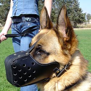 Dog Muzzle Types, Sizes, Uses, Prices - Buy Online Dog Muzzle