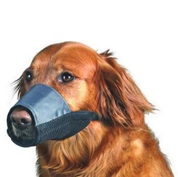 Dog Muzzle Types, Sizes, Uses, Prices - Buy Online Dog Muzzle