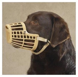 Dog Muzzle Types, Sizes, Uses, Prices - Buy Online Dog Muzzle