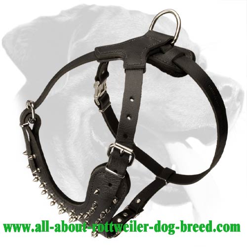 Dog Muzzle Types, Sizes, Uses, Prices - Buy Online Dog Muzzle