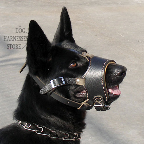 Dog Muzzle Types, Sizes, Uses, Prices - Buy Online Dog Muzzle