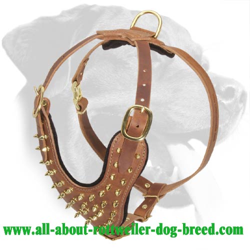 Dog Muzzle Types, Sizes, Uses, Prices - Buy Online Dog Muzzle