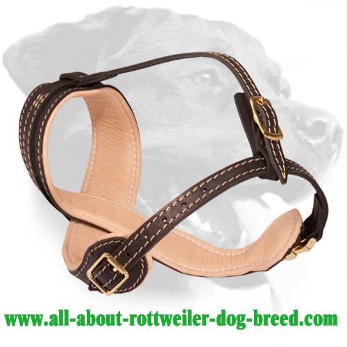 Dog Muzzle Types, Sizes, Uses, Prices - Buy Online Dog Muzzle