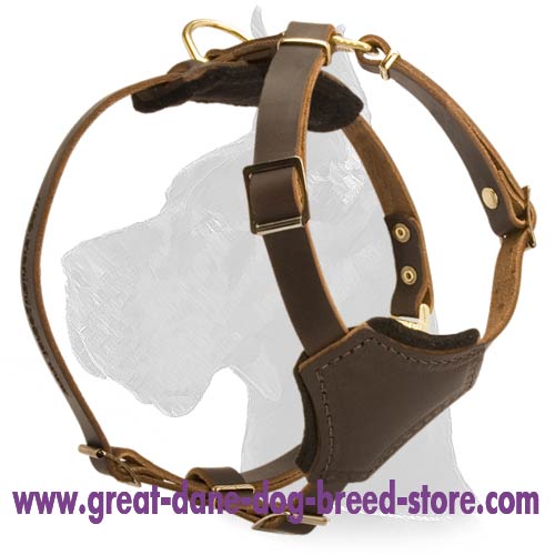 Dog Muzzle Types, Sizes, Uses, Prices - Buy Online Dog Muzzle