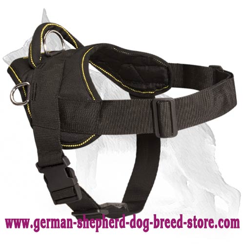 Dog Muzzle Types, Sizes, Uses, Prices - Buy Online Dog Muzzle