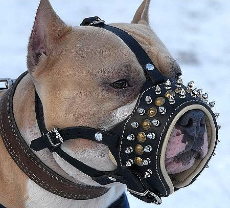 Dog Muzzle Types, Sizes, Uses, Prices - Buy Online Dog Muzzle