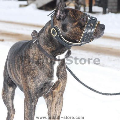 Dog Muzzle Types, Sizes, Uses, Prices - Buy Online Dog Muzzle