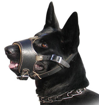 Dog Muzzle Types, Sizes, Uses, Prices - Buy Online Dog Muzzle