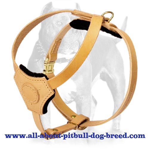 Dog Muzzle Types, Sizes, Uses, Prices - Buy Online Dog Muzzle