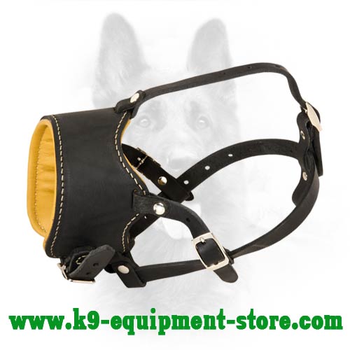 Dog Muzzle Types, Sizes, Uses, Prices - Buy Online Dog Muzzle