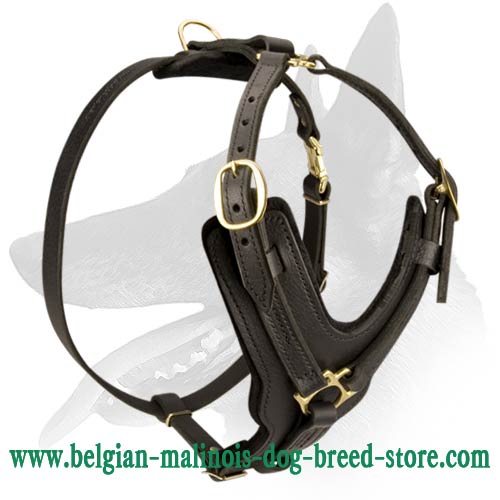 Dog Muzzle Types, Sizes, Uses, Prices - Buy Online Dog Muzzle