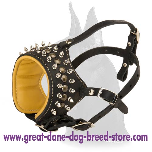 Dog Muzzle Types, Sizes, Uses, Prices - Buy Online Dog Muzzle