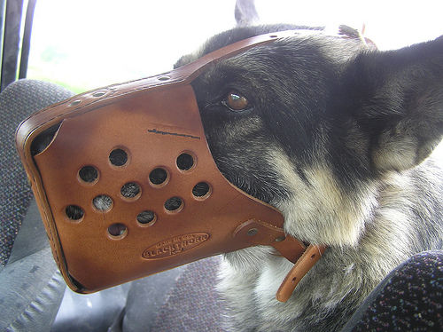 Dog Muzzle Types, Sizes, Uses, Prices - Buy Online Dog Muzzle