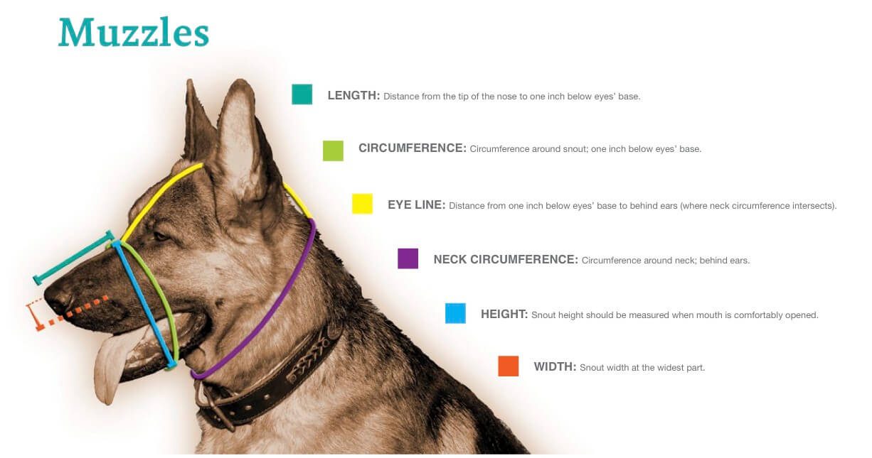 Dog Muzzle and Harness Sizing Instructions, Measure Charts