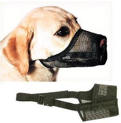 Dog Muzzle Types, Sizes, Uses, Prices - Buy Online Dog Muzzle