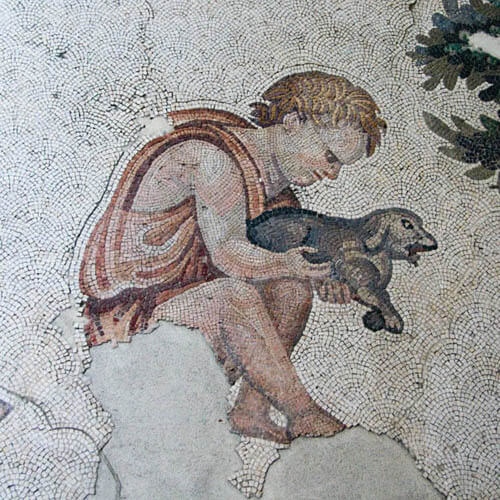 ANCIENT DOG PHOTOS