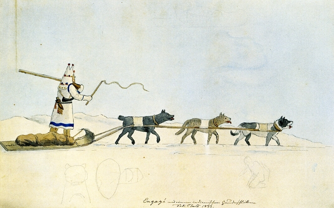 FIRST DOGS - ARCTIC BREEDS - DOG DOMESTICATION