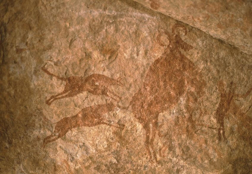 DIVERGENCE FROM WOLVES
