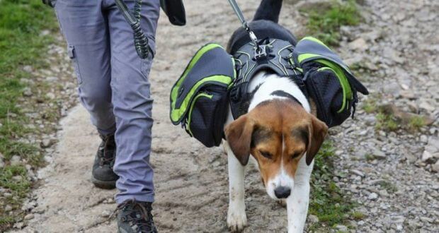 MILITARY K9 POLICE DOG BACKPACK, BAG