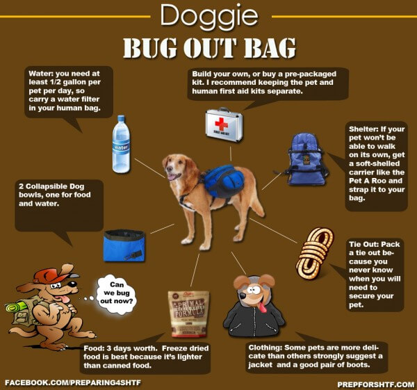 DOG HIKING, HIKING WITH YOUR DOG - GUIDE, MANUAL, INSTRUCTIONS