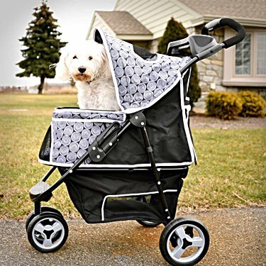 HOW TO CHOOSE THE BEST DOG STROLLER, CARRIERS, BASKETS, AIRPLANE TRAVEL WITH DOG