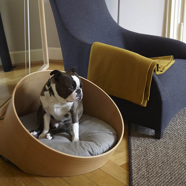 BUY THIS BEST DOG BED  COUCH  SOFA ONLINE