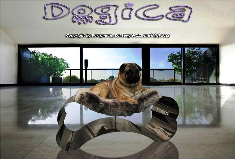 Overstock online dog beds