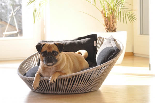 BUY THIS BEST DOG BED  COUCH  SOFA ONLINE