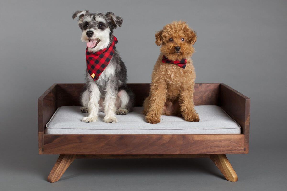 BEST ORTHOPEDIC DOG BEDS, COUCHES, SOFAS