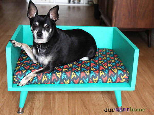 HOW TO CHOOSE THE BEST DOG AND PUPPY BEDS