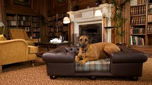 BUY ONLINE BEST, COMPHATIBLE, CUSTOM, MODERN LUXURY DOG & PUPPY BEDS and COUCHES, FOR LARGE & SMALL DOG BREEDS