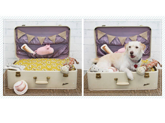 BEST ORTHOPEDIC DOG BEDS, COUCHES, SOFAS