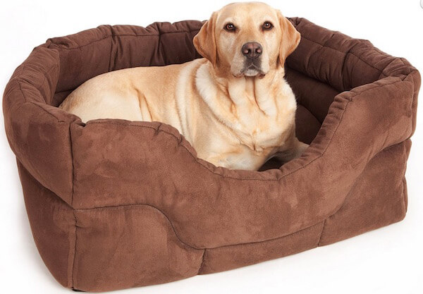 BUY THIS BEST DOG BED  COUCH  SOFA ONLINE