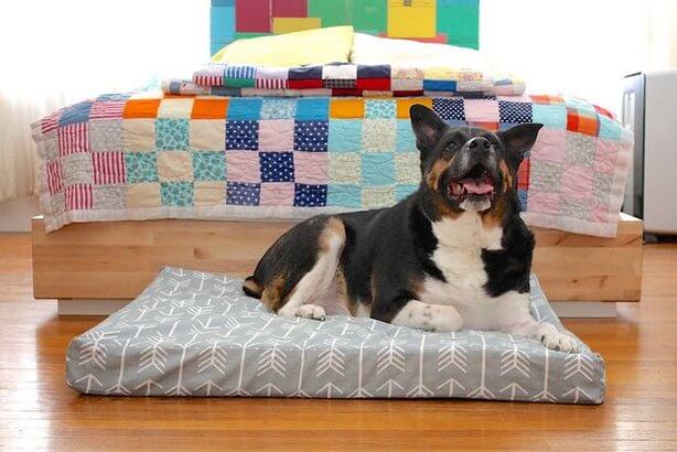 HOW TO SUE, MAKE DOG and PUPPY BED, HOMEMADE DIY DOG BEDS AND SOFAS
