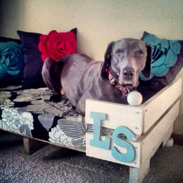 BUY ONLINE BEST, COMPHATIBLE, CUSTOM, MODERN LUXURY DOG & PUPPY BEDS and COUCHES, FOR LARGE & SMALL DOG BREEDS