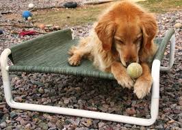 DOG AND PUPPY BEDS - FOR SMALL, MEDIUM AND LARGE DOG BREEDS