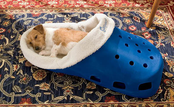 DOG & PUPPY BEDS and COUCHES, LUXURY BEDS FOR SMALL and LARGE DOGS