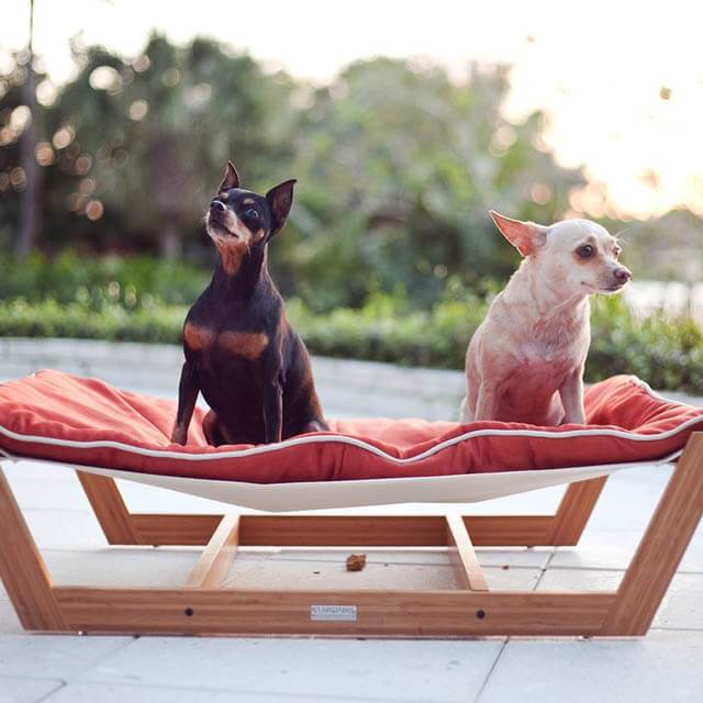 HOW TO CHOOSE THE BEST DOG AND PUPPY BEDS