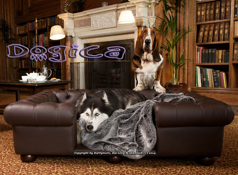 WWW.LUXURIOUSDOGBEDS.CO.UK