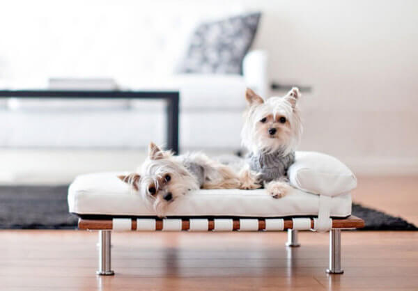 DOG AND PUPPY BEDS