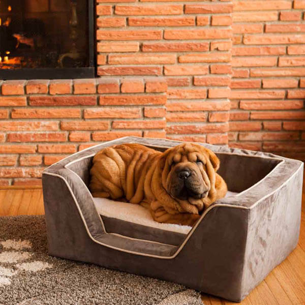 BEST ORTHOPEDIC DOG BEDS, COUCHES, SOFAS