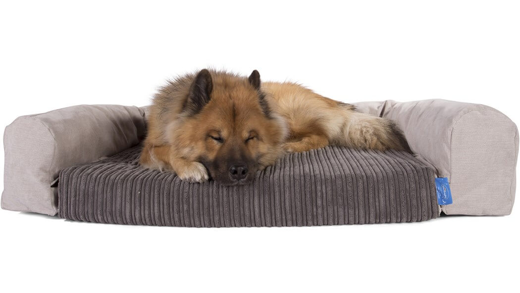 BUY ONLINE BEST, COMPHATIBLE, CUSTOM, MODERN LUXURY DOG & PUPPY BEDS and COUCHES, FOR LARGE & SMALL DOG BREEDS