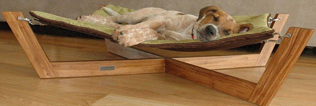 Boxspring dog sales