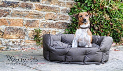 BUY ONLINE BEST, COMPHATIBLE, CUSTOM, MODERN LUXURY DOG & PUPPY BEDS and COUCHES, FOR LARGE & SMALL DOG BREEDS