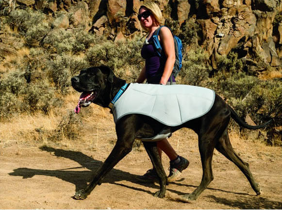 BACKPACKING WITH YOUR DOG