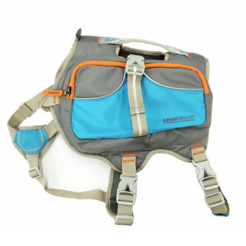 BUY THIS DOG BACKPACK on WWW.AMAZON.COM