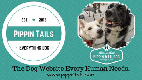 WWW.PIPPINTAILS.COM