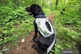 DOG & PUPPY BACKPACK