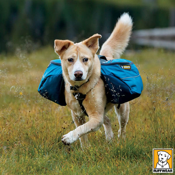 DOG & PUPPY BACKPACK WEAR TRAINING GUIDE - TEACHING GUIDE & INSTRUCTIONS