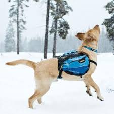 DOG & PUPPY BACKPACK SIZE, HOW TO CHOOSE CHOOSE BEST DOG BACKPACK, BAG